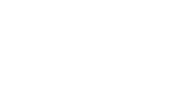 100% servizi