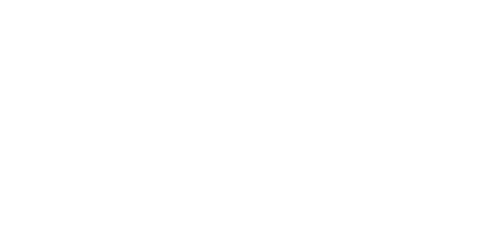 100% servizi