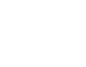 100% servizi